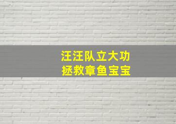 汪汪队立大功 拯救章鱼宝宝